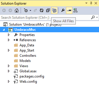 Select Show All Files in Visual Studio Solution