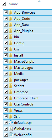 Copy extracted source code to IIS web root directory