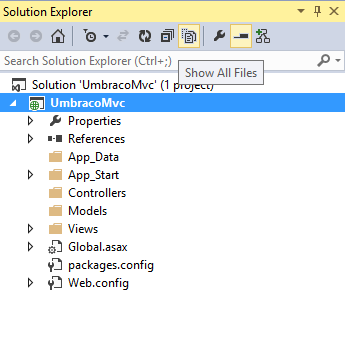 Select Show All Files in Visual Studio Solution
